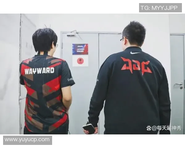 精英赛分析：JDG战术执行力与团队配合的深度解读